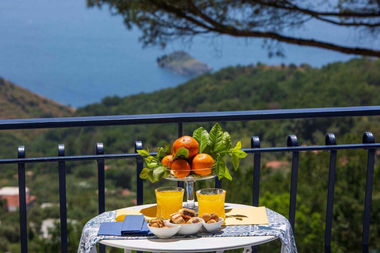 Villa Fedora Sea&Stars Massa Lubrense Exterior photo
